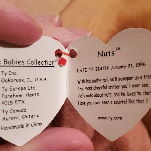 TY Beanie Baby - NUTS the Squirrel (5.5 inch) - Retired 1996 - Picture 6 of 7